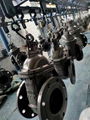 (DIN) Cast Iron Gate Valve (NRS)