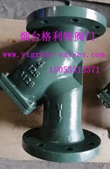 ANSI Y strainer flanged ends FF