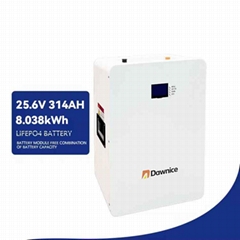 Dawnice 25.6V 100Ah 2.5kWh Solar Energy Storage Battery 