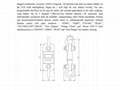 Crane load test wireless dynamometer digital weight load link 2