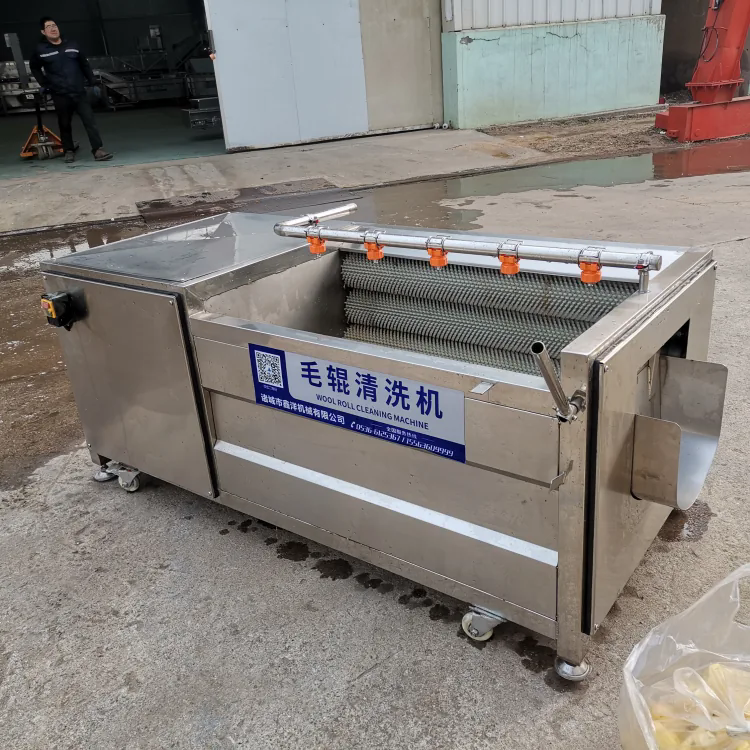 全自動土豆洋蔥去皮去泥清洗機 2