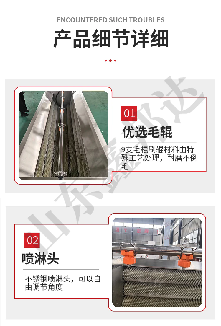 全自動土豆洋蔥去皮去泥清洗機 5