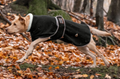 Fleece dog coat Ceramic Rehab