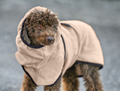 Hunde-Trocknungscape Dry Dog II