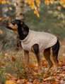 Dog Turtleneck Sweater