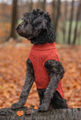 Dog Turtleneck Sweater
