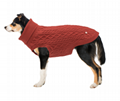 Dog Turtleneck Sweater 8