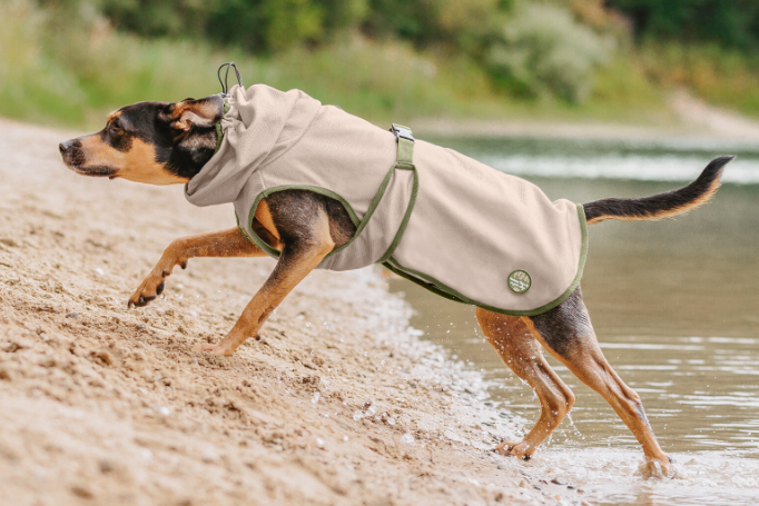 Fly protection coat Taiga for dogs 3