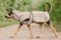 Fly protection coat Taiga for dogs