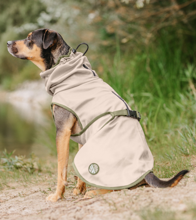 Fly protection coat Taiga for dogs