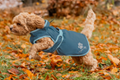 Dog Raincoat Eldoro II with Fleece