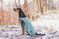 Dog Raincoat Eldoro II with Fleece Lining 4