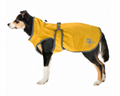 Dog Raincoat Eldoro II with Fleece Lining