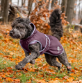 Dog Raincoat Eldoro II with Fleece Lining