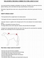 Safety First reflex dog coat