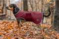 Softshell Dog Walker Athlete 7