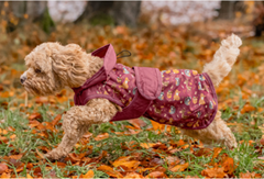 Dog Raincoat Pumpkin Spice