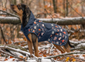 Dog Raincoat Pumpkin Spice