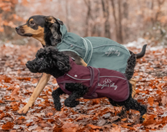 2 in 1 Nylon Dog Coat Ally