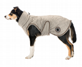 Dog coat Archie with teddy fleece lining, 