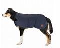 Beaver Creek Winter Dog Coat 400g 5