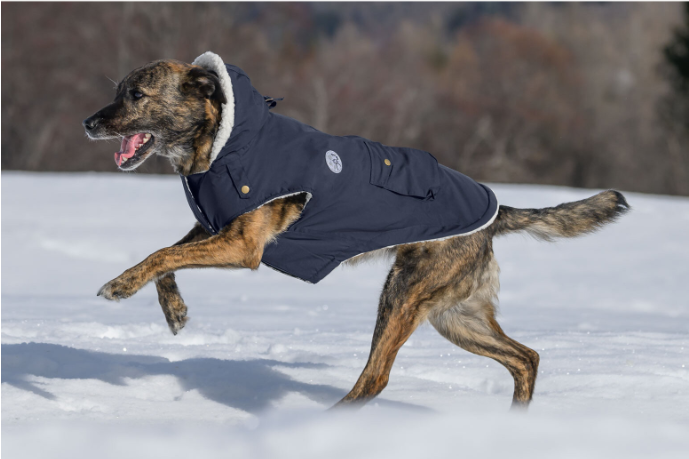 Rain Dog Parka Wilbur with Sherpa Lining, 60 g 3