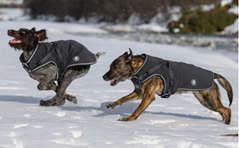 Softshell dog coat Cruz with integrated harness, 160 g
