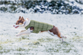 Yoko reversible softshell dog vest, 80 g
