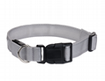 Pet LED-Hundehalsband Loom