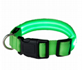 Pet LED-Hundehalsband Loom 7