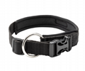 Becks dog collar