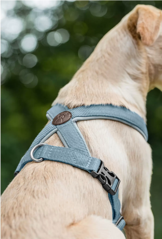 Piper dog harness 4