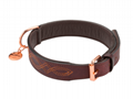 leather dog collar Livorno