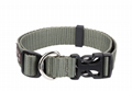 Champ dog collar