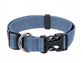 Champ dog collar
