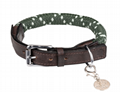 dog collar Coloured Rope