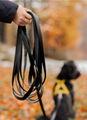 pet towline