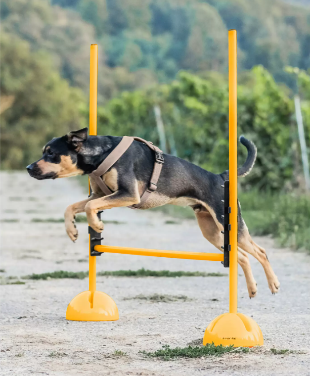 agility pole supports 2