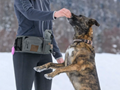 dog training bum bag Obedience 3