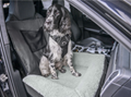 Maine car seat dog bed