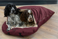 dog sleeping bag Sirius