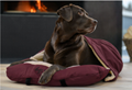 dog sleeping bag Sirius