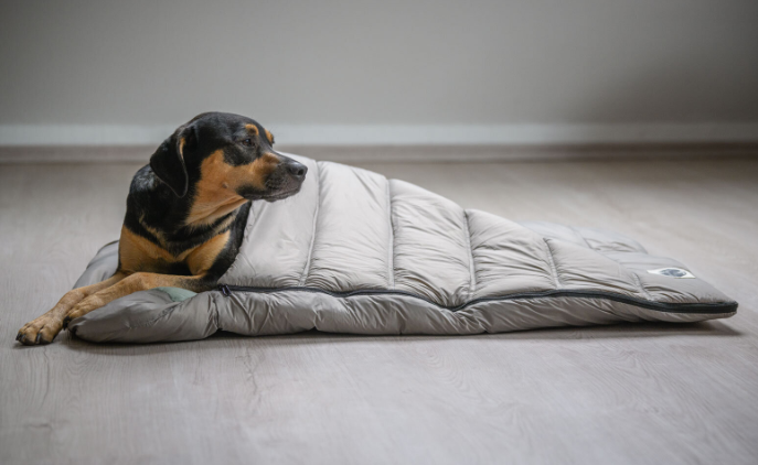 Adventure Seeker dog sleeping bag