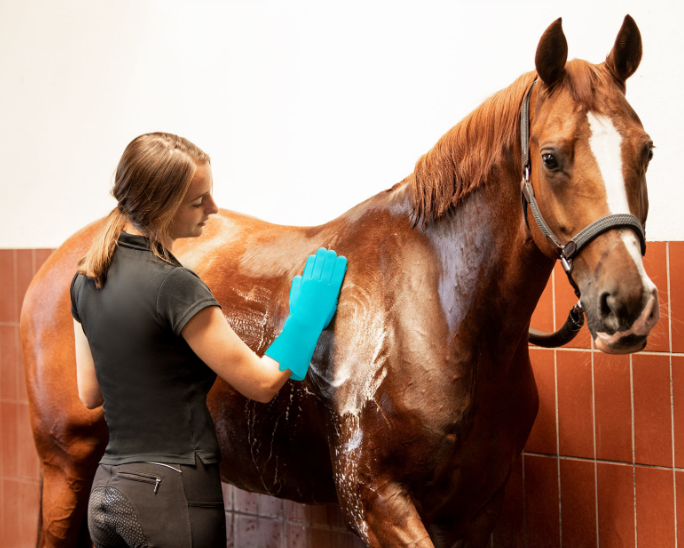 horse washcloth 2