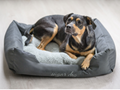 Dog beds & pillows