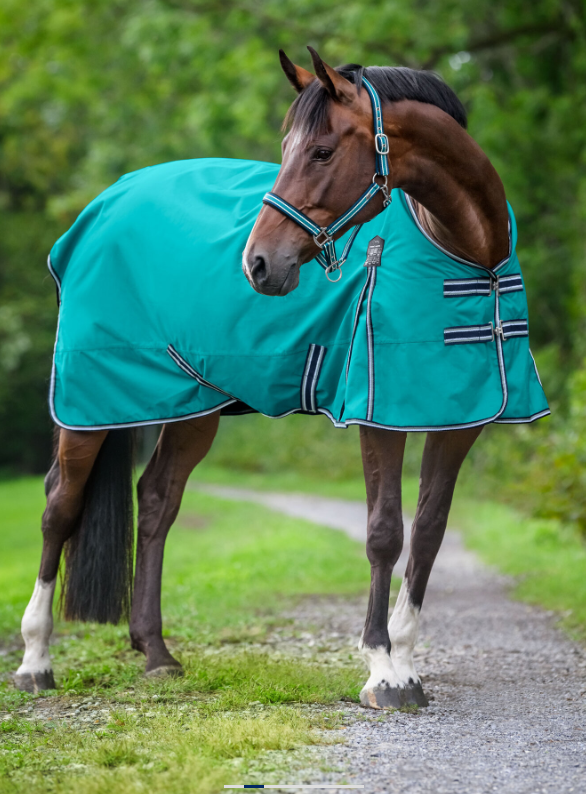 Waterproof and breathable rain cover horse outdoor blanket 2