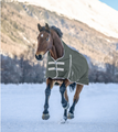 Horse highneck outdoor blanket 6