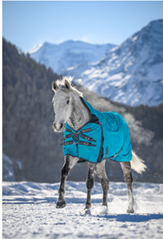 Horse rPET outdoor blanket Life Cycle
