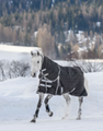 Horse Outdoor blanket Kadir Special