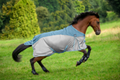 2 in 1 fly protection combination